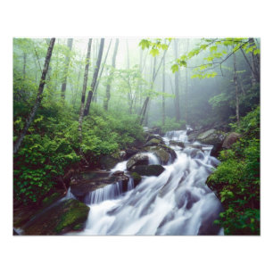 Foto Linn Cove Creek em cascata através da névoa