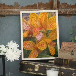Foto Lírio-de-canna-amarelo com Floral Pontos Vermelhos