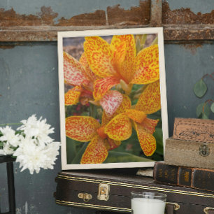 Foto Lírio-de-canna-amarelo com Floral Pontos Vermelhos