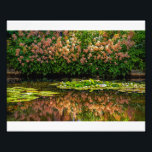 Foto Lírios de água do Monet<br><div class="desc">Reflexões no famoso lago de Monet em Giverny,  França. Comprar esta imagem nos ajuda a financiar nossa adoção no Equador. Obrigados adiantados!</div>