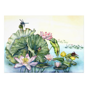 Foto Lírios de água japoneses e Flores de Lotus