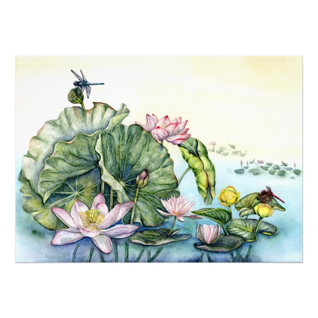 Foto Lírios de água japoneses e Flores de Lotus (Frente)