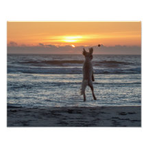 "Live Large" Beach Sunset Photo Impressão (14" x 1