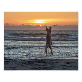 Foto "Live Large" Beach Sunset Photo Impressão (14" x 1