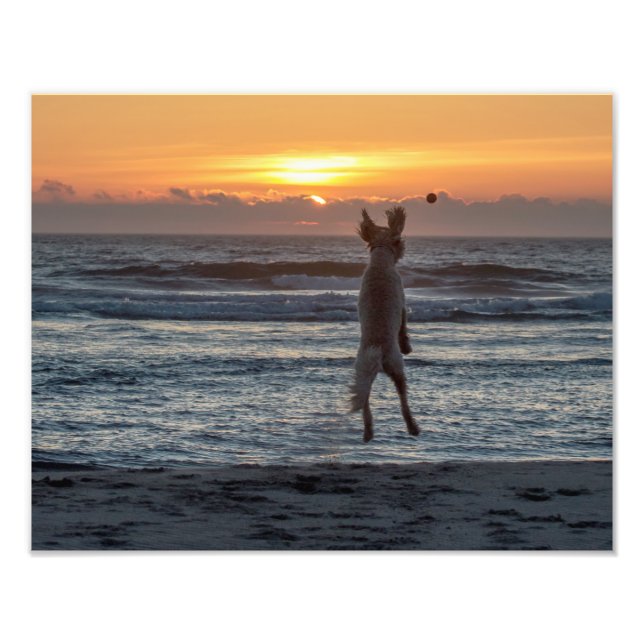 Foto "Live Large" Beach Sunset Photo Impressão (14" x 1 (Frente)