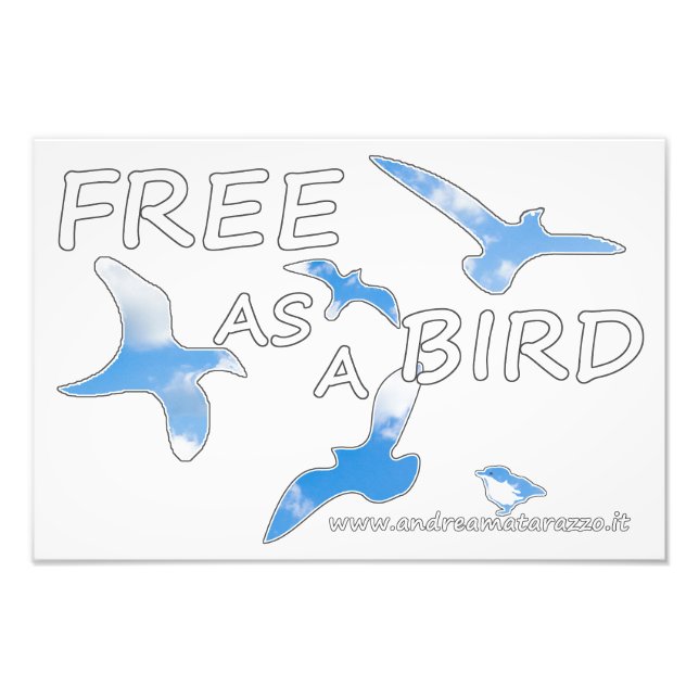 Foto Livre como um Pássaro (Frente)