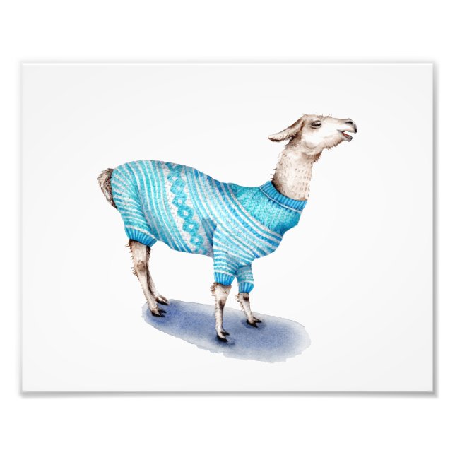 Foto Llama no Sweater Azul (Frente)