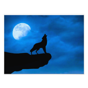 Foto Lobo à Noite