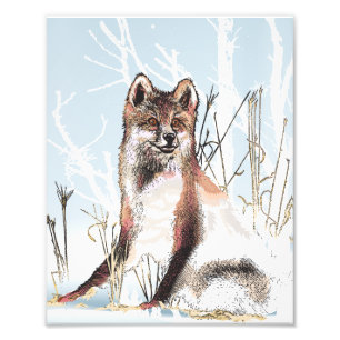 Foto Lobo de inverno