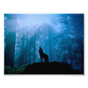 Foto Lobo de Ouro na Natureza