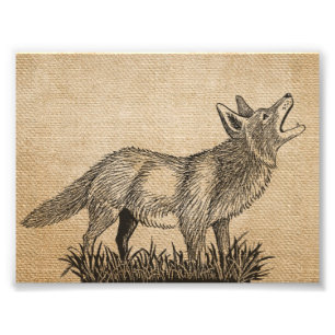 Foto Lobo do urro do vintage de serapilheira 7" x 5",