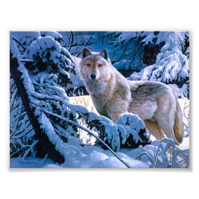 Foto Lobo na pintura da floresta de inverno (Frente)
