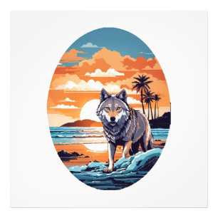 Foto Lobo na Praia