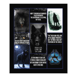 Foto Lobo Negro Eu Nunca Perder