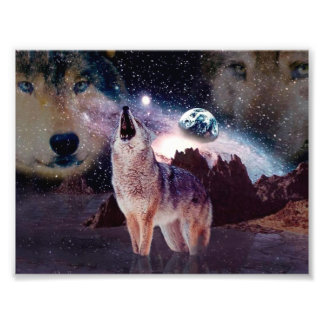 Foto Lobo uivando pelo universo