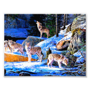 Foto Lobos em pintura de neve