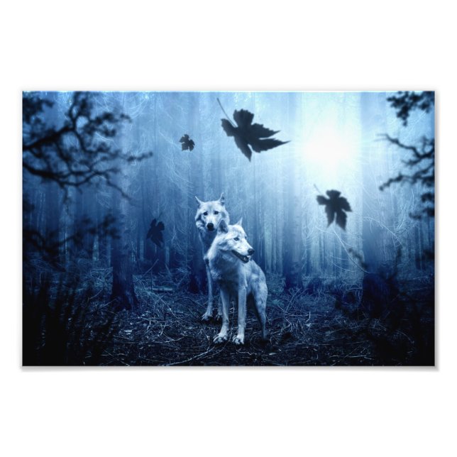 Foto Lobos na Floresta no amanhecer (Frente)