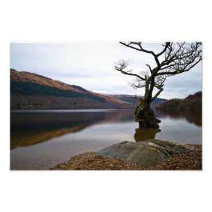 Foto Loch Lomond, Scotland Photo impressão