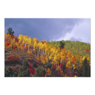 Foto Logan Canyon em Utah no outono com tempestade pass