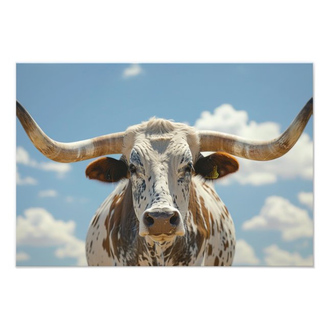 Foto Longhorn Bull (Frente)
