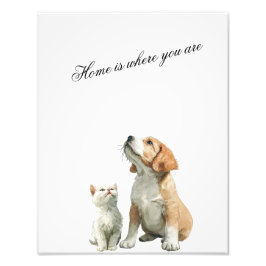 Foto Looking Up at You – Home Is Where You Are