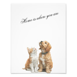 Foto Looking Up at You – Home Is Where You Are