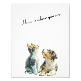 Foto Looking Up at You – Home Is Where You Are-vol2