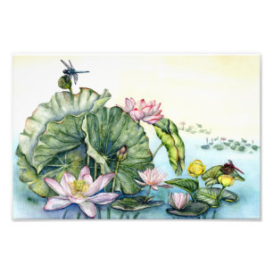 Foto Lotus Lily Art Japonês