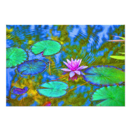 Foto Lotus Lily Pad Water Lily em um Jardim Italiano