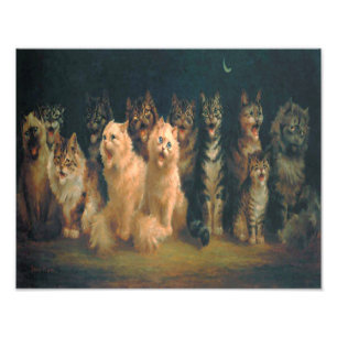 Foto Louis William Wain do "coro gato "