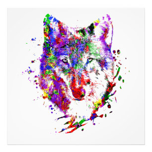 Foto Loup Animal Forêt Sauvage Nature Monde Terre Libr