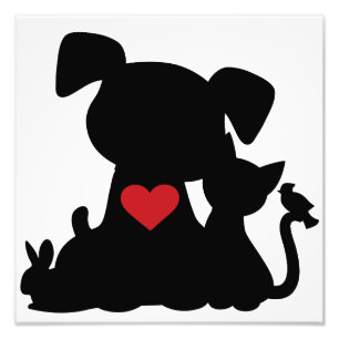 Foto Love Puppy e Kitten Silhouette
