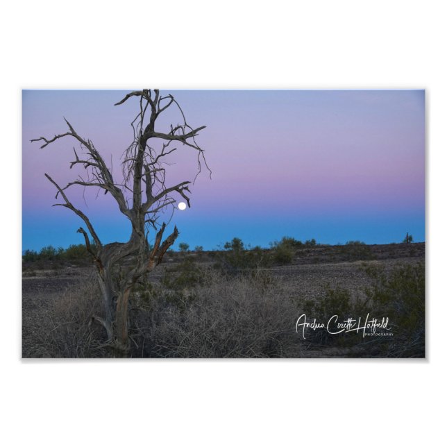 Foto Lua azul-púrpura do deserto (Frente)