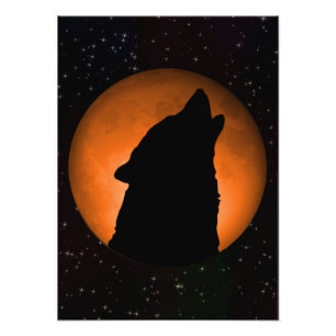 Foto Lua cheia