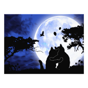 Foto lua cheio de gatos