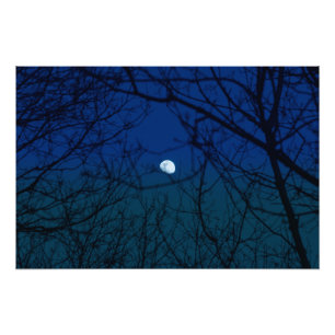 Foto Lua em Ombre Indigo Sky Tree Branches Silhouette