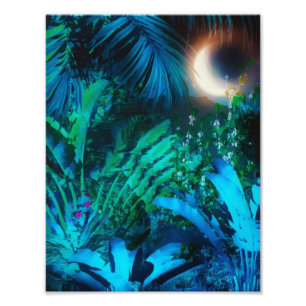 Foto Lua Noite Tropical Selva Deixa Azul