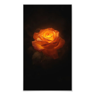 Foto Luminous Orange Rose on Black Velvet – Elegant Flo
