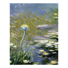 Foto Lush Agapanthus Flowers em Giverny