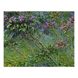 Foto Lush e Vibrante Representação das Flores de Agapan