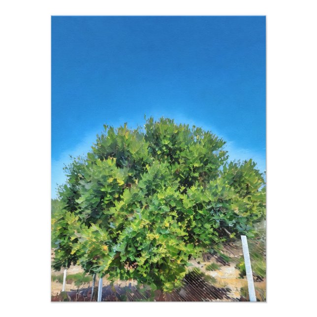 Foto Lush Green Tree Against Vibribric Blue Sky (Frente)