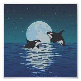 Foto Luz de Lua da Orca Killer Whale