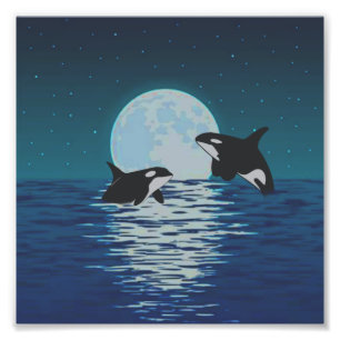 Foto Luz de Lua da Orca Killer Whale