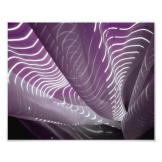 Foto Luz do sol sobre folhas