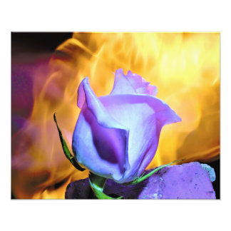 Foto luz rosa de chamas