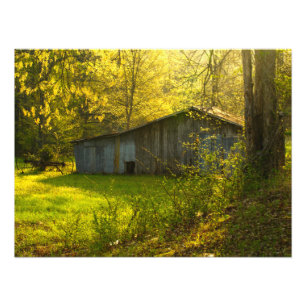 Foto Luz rural da manhã do primavera de Tennessee