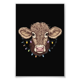 Foto Luzes de Natal Amante de Vaca Fazenda Fazendeiro N