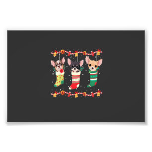 Foto Luzes de Natal Chihuahua Xmas Engraçado Amante de
