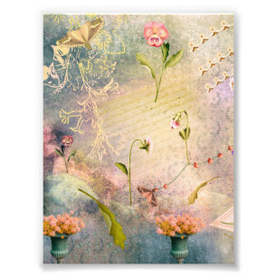 Foto Luzes e Panteras