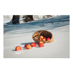 Foto Maçãs na neve